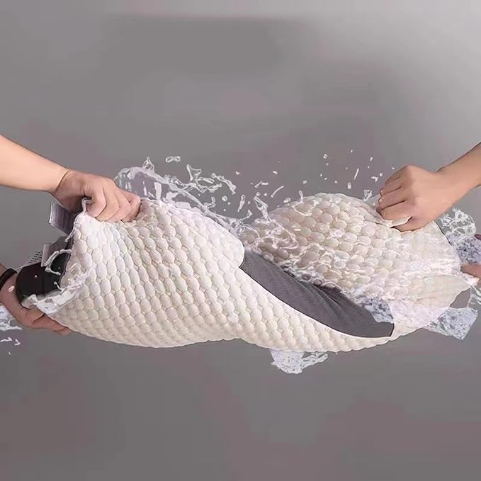 Bienetrecheznous Pillow